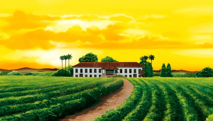 Café Caboclo plantação de café retratada em pintura.